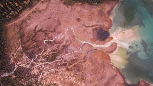 Aerial view of beach