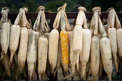 Close-up of vegetables for sale