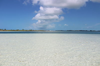 Scenic view of beach against blue sky