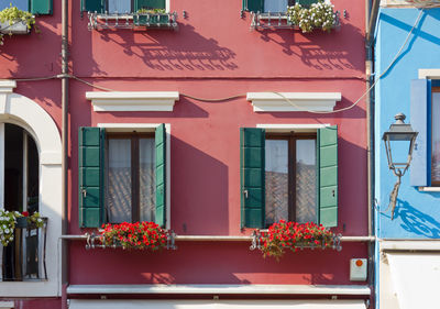 Potted plant on window of building