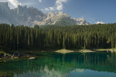 Scenic view of lake by trees against sky