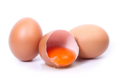 Close-up of orange eggs against white background