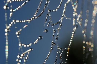 Close-up of water drops on spider web