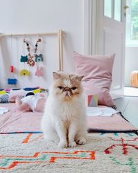 Portrait of cat sitting on bed at home