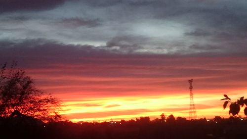 Silhouette of trees against cloudy sky