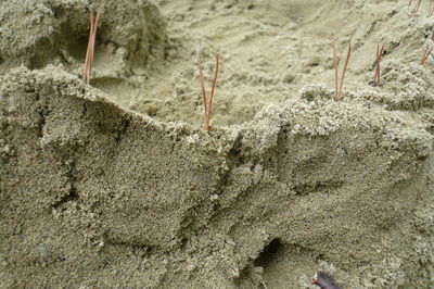 Close-up of sand
