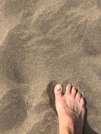 Low section of person on sand at beach