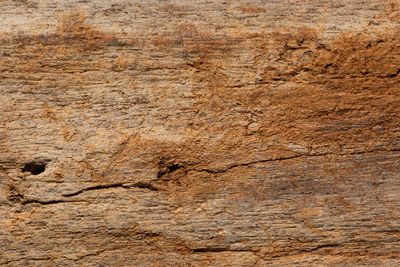 Full frame shot of rock on land