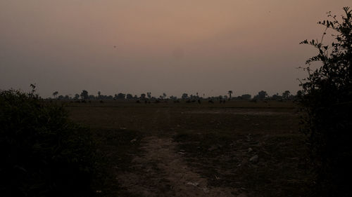 Scenic view of field against clear sky at sunset