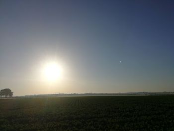 Scenic view of field against bright sun