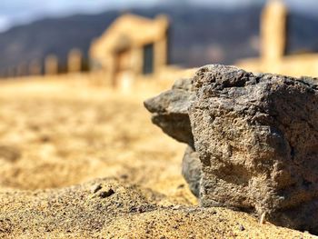 Close-up of rock on land