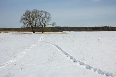 Scenic view of snow covered meadow and animals track path against sky