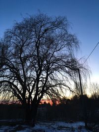 Silhouette bare trees against sky during sunset