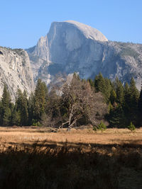 Scenic view of field by mountains against clear sky