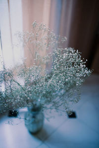 Close-up of snow on table at home