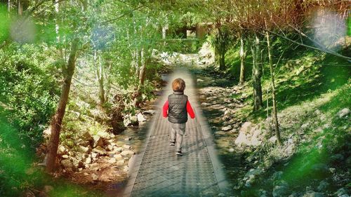 Rear view of baby woman walking in forest