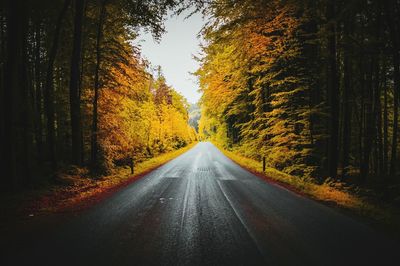 Empty road amidst trees during autumn