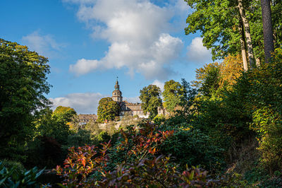 Panoramic view of trees and plants against sky