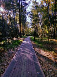 Footpath amidst trees in forest during autumn