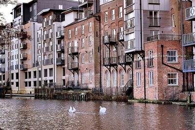 View of canal in city