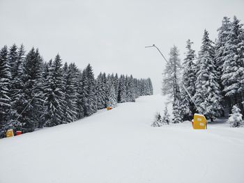 Snow covered land and trees against sky