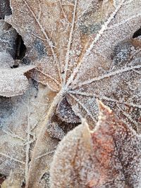 Full frame shot of snow