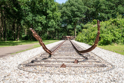 Railroad tracks amidst trees in forest