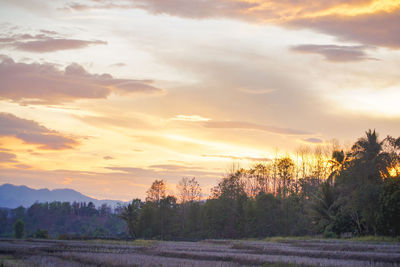 Scenic view of field against sky during sunset