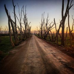 Road amidst field against sky during sunset