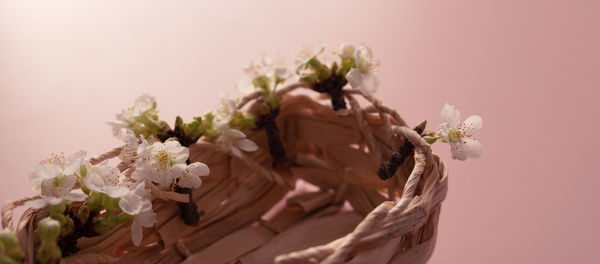 Cherry blossoms in a wicker basket on a pink table