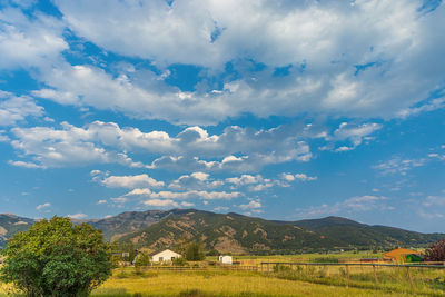 Scenic view of field against sky