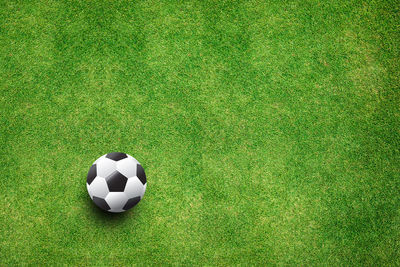 High angle view of soccer ball on grass