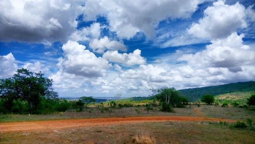 Scenic view of field against sky