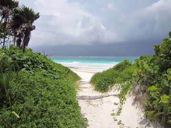 Scenic view of beach against sky