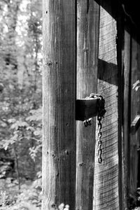 Close-up of wooden door