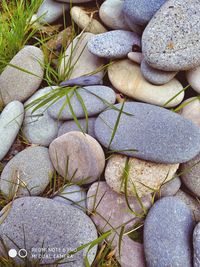 High angle view of stones