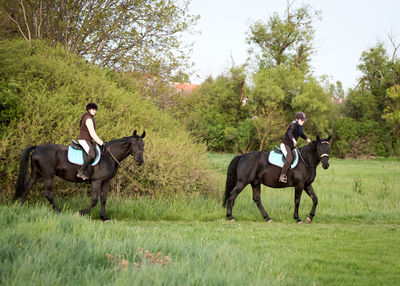 Ranchers riding black horses on grassy field against trees