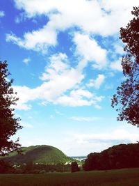 Low angle view of trees on field against sky