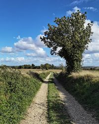 Scenic view of road amidst field against sky