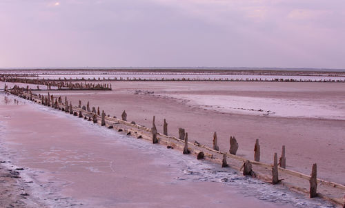 Wooden columns covered large lumps of salt in the pink lake. crimea, saki