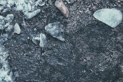 Full frame shot of paving stone