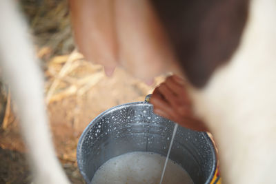 Close-up of person holding ice cream