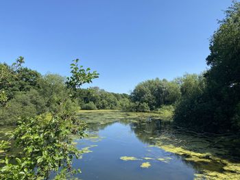 Scenic view of lake against clear blue sky