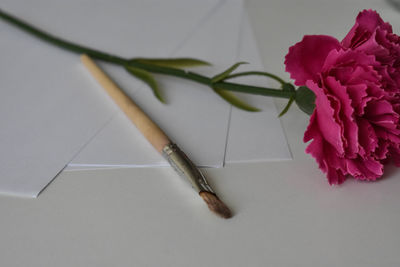 Close-up of rose plant on table