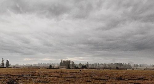 Scenic view of field against cloudy sky