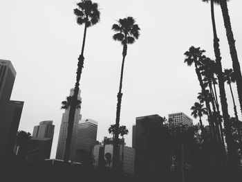 Low angle view of building