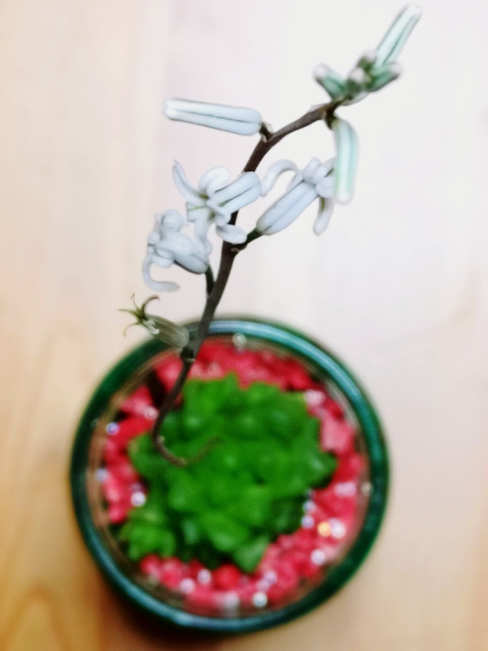 HIGH ANGLE VIEW OF FRUIT SALAD IN BOWL