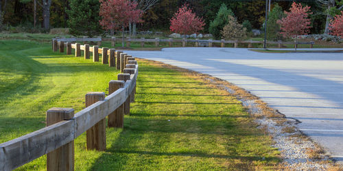 View of cemetery