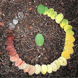 High angle view of leaves