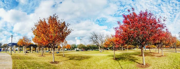 Trees on field in park against sky during autumn